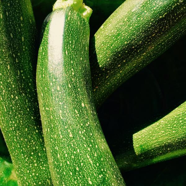 courgette.jpg