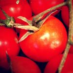 thumbLa tomate