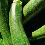 thumbLa courgette